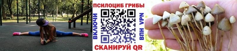 Галлюциногенные грибы Magic Shrooms  Жуковский 
